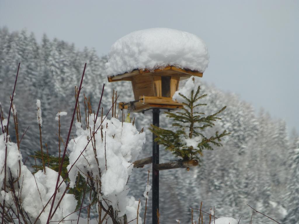 Guesthouse Mountain View Großkirchheim Eksteriør billede